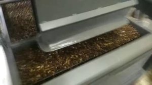 Модуль шелушения кедрового ореха на ядро. МШО-0.3. shishka-kedr.ru