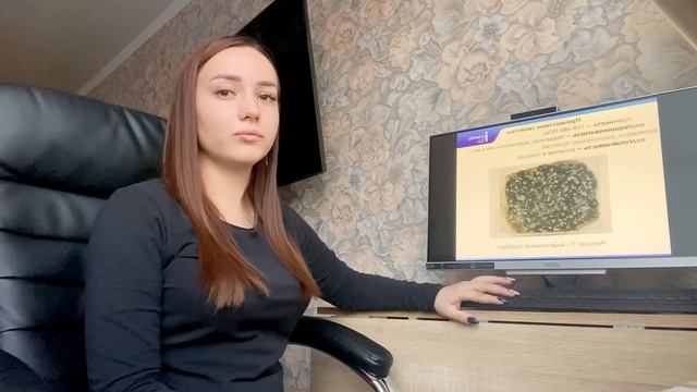 СТРб-20-14_Титова_Доклад Андезитовый порфирит смотреть онлайн