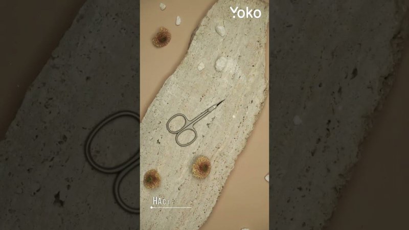 Yoko | Видео для маркетплейса