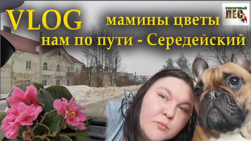 VLOG нам по пути СЕРЕДЕЙСКИЙ_мамины цветы_ТУРБО-БУЛКА_ЗАсвет из Людинова_СКАЗОЧНЫЙ ЛЕС