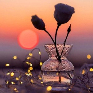 Пожелание Доброго Вечера! Открытка!???