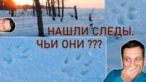 Нашли следы. Чьи они? Нужна помощь охотников или егерей