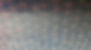 Как приятно не болеть,в небо синее смотреть и ходить-бродить по - Песня кота Леопольда(наброски)