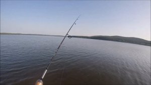 Огромный чебак на микроджиг. Ильмень. Окунь. Ёрш.Enorme kakkerlak op microjig. Baars. Kraag.