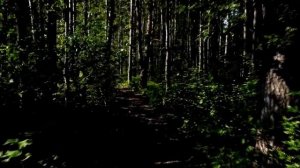 Мама собралась рассказать о смертельном диагнозе, но эта тварь вывалил про свою любовницу