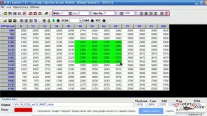 Видеокурсы Чип Тюнинга Автомобиля. Отрывок по Редактированию Прошивки ЭБУ в ECM Titanium 1.61