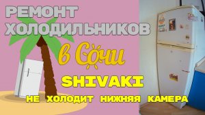Ремонт холодильника Shivaki SR 2250WR, не холодит нижняя камера.