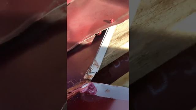 21 ноября 2019 г. смотреть онлайн