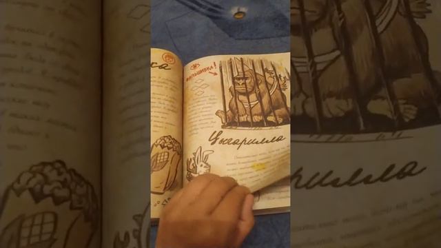 Купил книгу смотреть онлайн