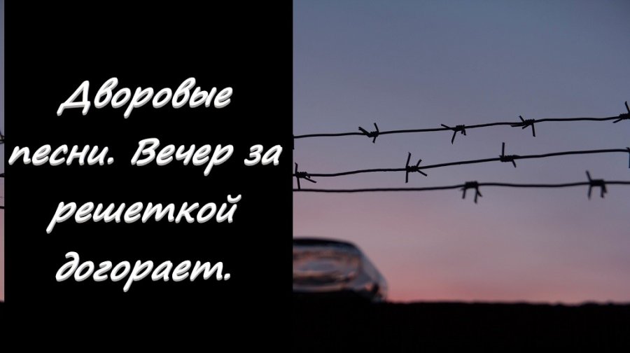 Петлюра вечер. Петлюра вечер за решеткой догорает. Вечер за решеткой догорает текст. Журавли песня.