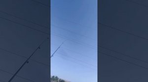 Как закинуть чучело голубя вяхиря на провода!!! Пример