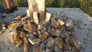 Атака летучих муравьёв!