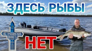 Здесь рыбы нет !
