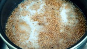 Горчица французская