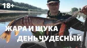Особенности ловли ЩУКИ в жару. Рыбалка в Тюмени 2020.