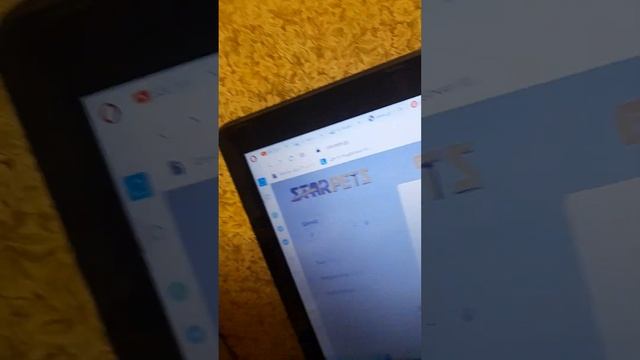 бесплатные петы в адопт ми star pets.gg