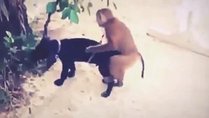 Любовь на природе (Love on nature)