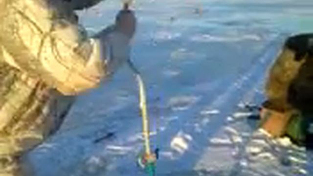 Рыбалка в Лиманском ....круто смотреть онлайн