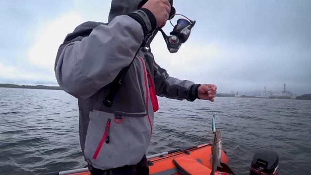 В ТАКУЮ ПОГОДУ КЛЮЮТ ТРОФЕЙНЫЕ СУДАКИ!!! 10 ЧАСОВ ПОД ЛИВНЕМ!!! смотреть онлайн