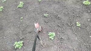 Ручной пропольник междурядьев. Тяпка с колесом.