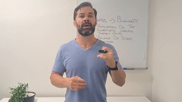 CRACKING THE CODE  STRESS, BURNOUT AND THE PATH TO BALANCE