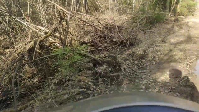 деревенская дорога смотреть онлайн