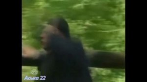 Возвращение мухтара | опера |