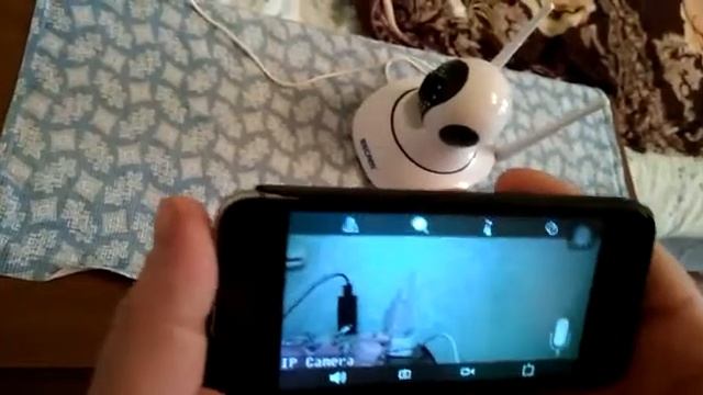 ИП КАМЕРА смотреть онлайн