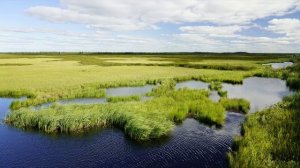 Путешествие в поселок Тазовский 4k