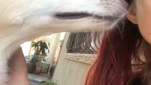 1 секунда каждый день // 2020 смотреть онлайн