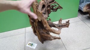 Мангровая коряга Н3
