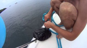 Как во Владивостоке ловят креветку