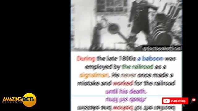 Interesting Amazing Awesome Facts ? #71 | Do You Know These Facts ? смотреть онлайн