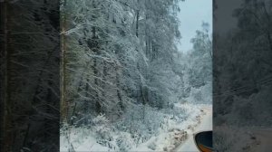 Предновогодняя красота. Дорога на дачу. Волоколамск