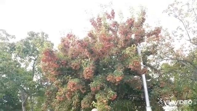 Страдание... 5. Страдание приходит,  когда идёшь к заблуждению.
