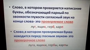 Парные согласные (проверочные и проверяемые слова)