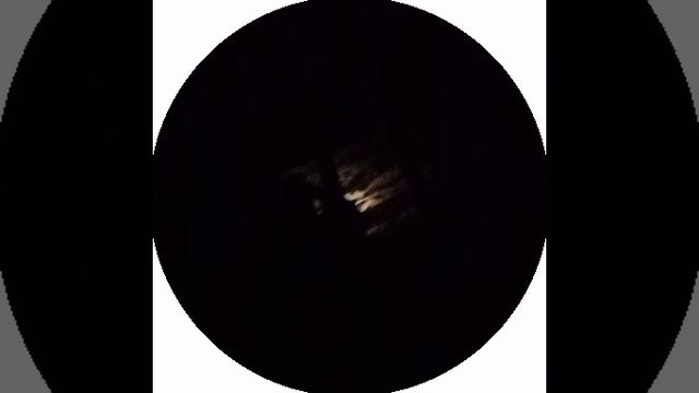 красота природы