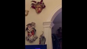 Попугай Тимоша  хочет пить