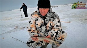 Зимняя рыбалка на хапугу хлопок на реке Амур, первый лёд, 2021 год. #рыбалка 1.