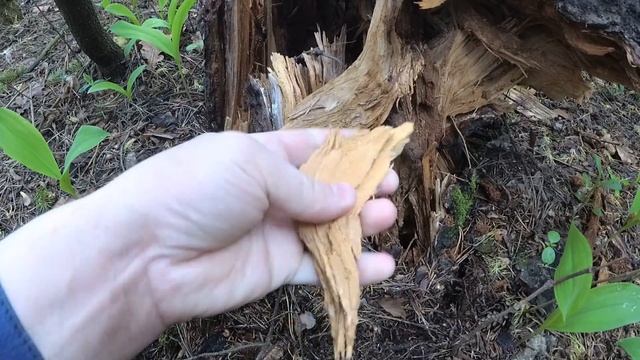 Опасная дача! смотреть онлайн