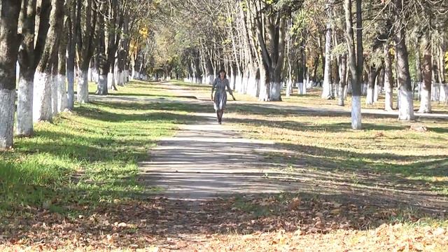 Сош 22 начало инет смотреть онлайн