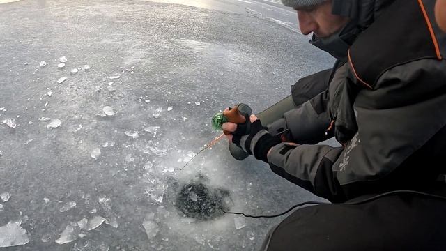 ЗАЛИВ СОСНЫ! ??? Такой раздачи по гирлянде давно не было. Рыбалка на гирлянду.  Ловля крупной плотв смотреть онлайн