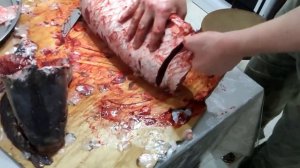 Нож из сверла р18 на тесте разделки сазана весом 12кг