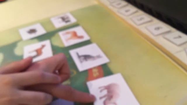 Животные/цвет смотреть онлайн