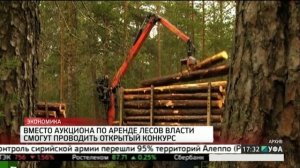 Вместо аукциона по аренде лесов власти смогут проводить открытый конкурс