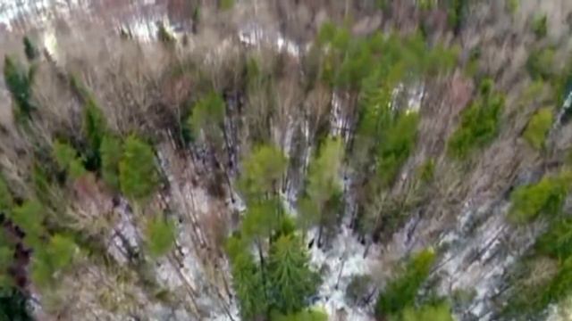 ВИА Песняры - Беловежская пуща смотреть онлайн