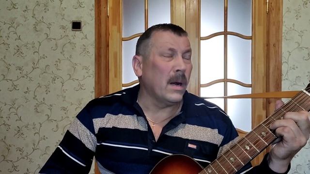 Собачья жизнь
