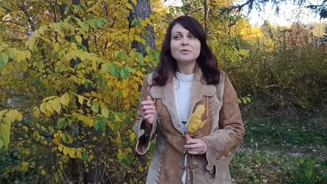Ната Явилина "Предвкушение", стихи