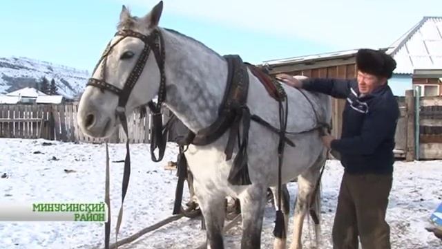 Минусинский шорник смотреть онлайн