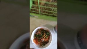 Натуральное кормление французского бульдога